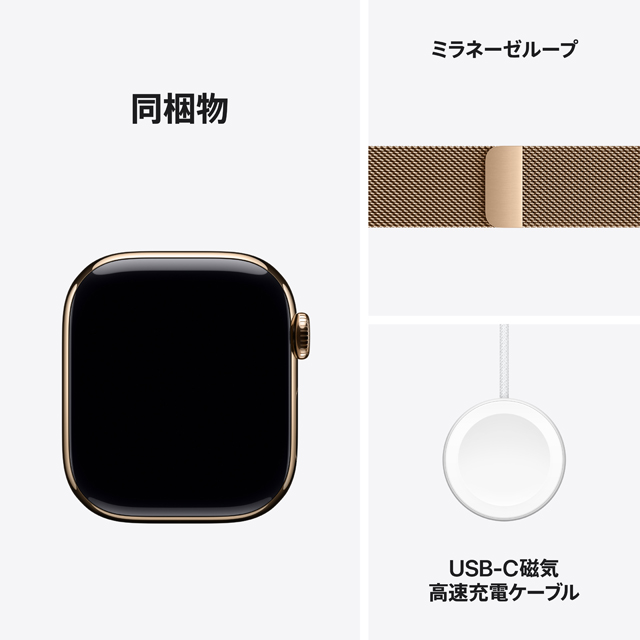 Apple Watch Series 10 ゴールドチタニウムケース同梱物やバンドについての画像