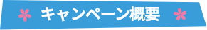 キャンペーン概要