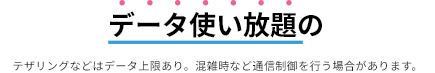 データ使い放題の