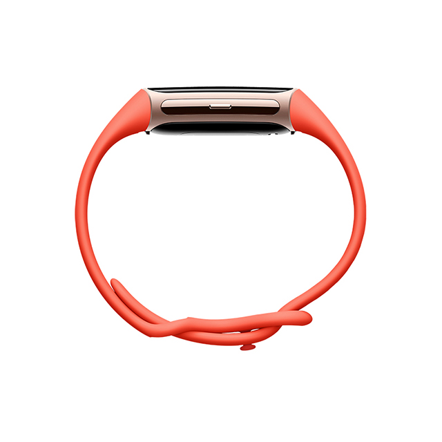 Fitbit Charge 6 Coral／Champagne Gold バンド正面