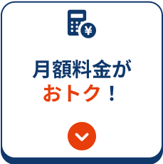 今なら月額料金がおトク！