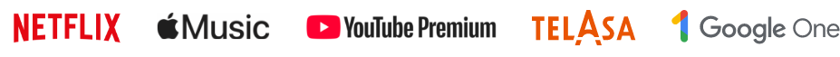 Netflix Apple Music Youtube Premium TELASA Google One