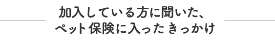 加入している方に聞いた、ペット保険に入ったきっかけ