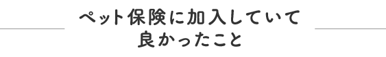 ペット保険に加入していて良かったこと
